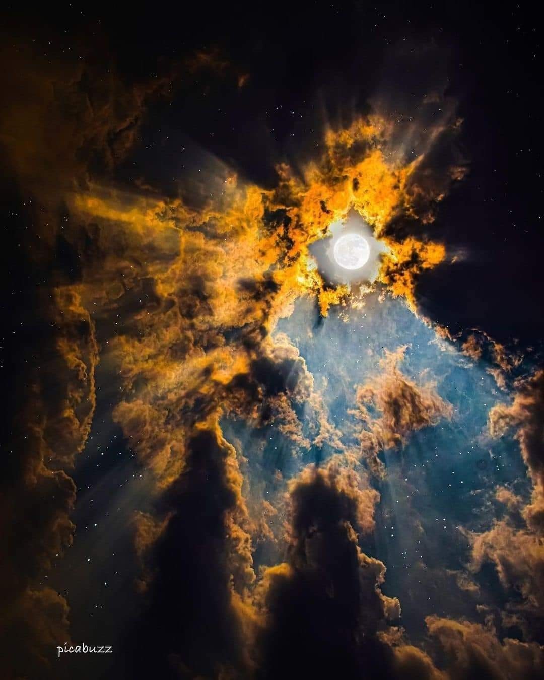 Wolfy OnlyFans header