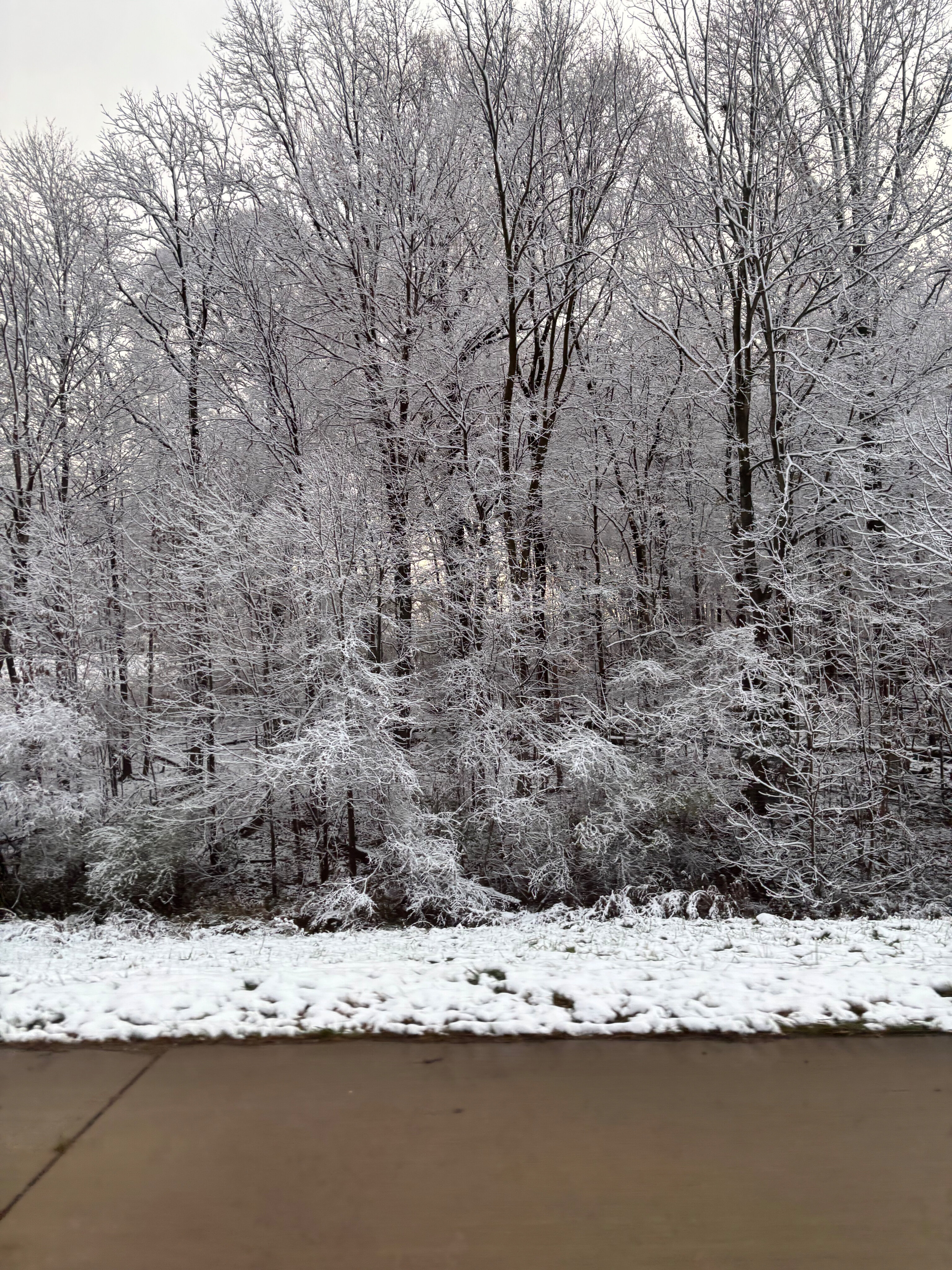 Abs and Aiden ❤️ OnlyFans header