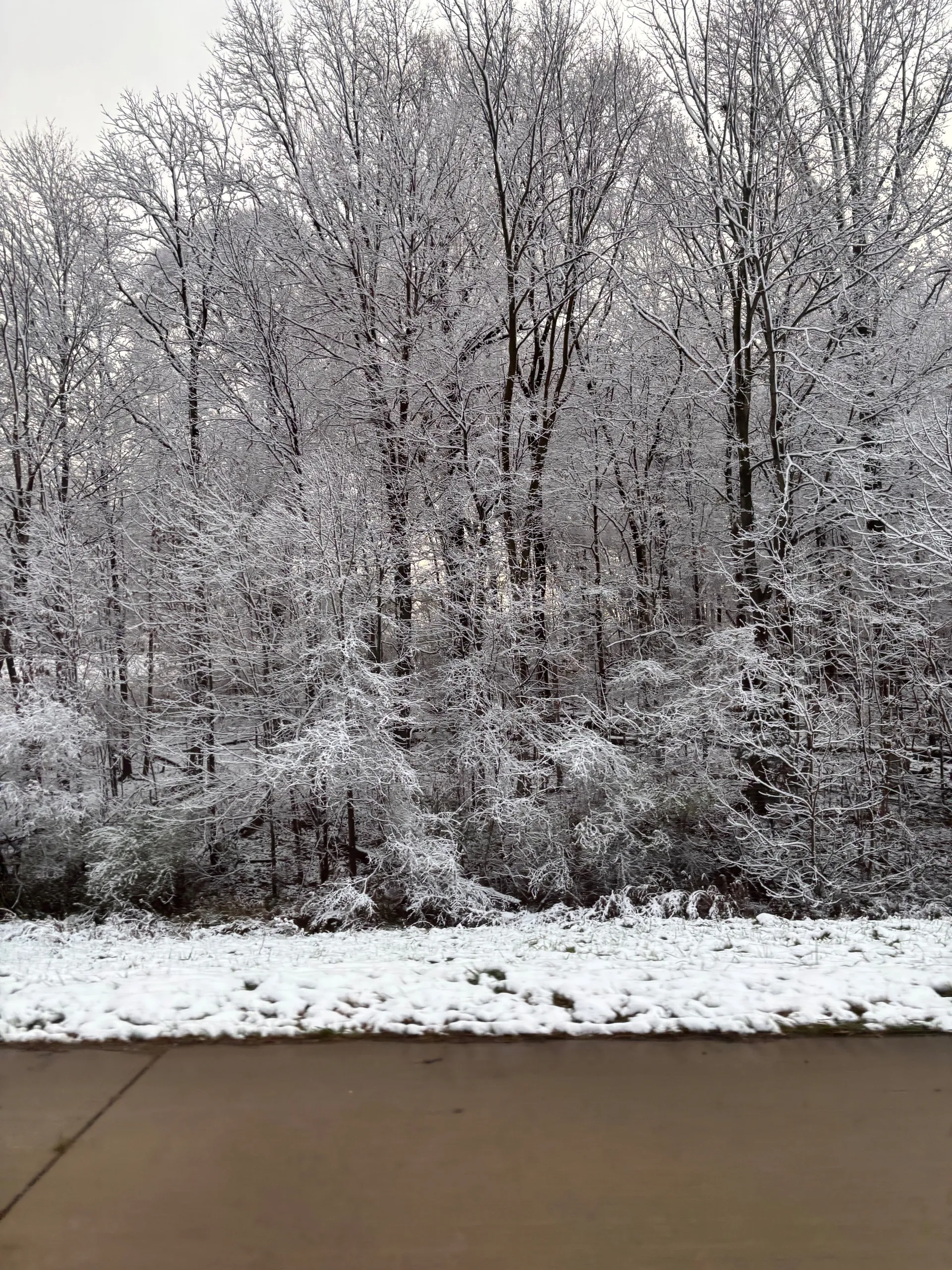 Abs and Aiden ❤️ OnlyFans header