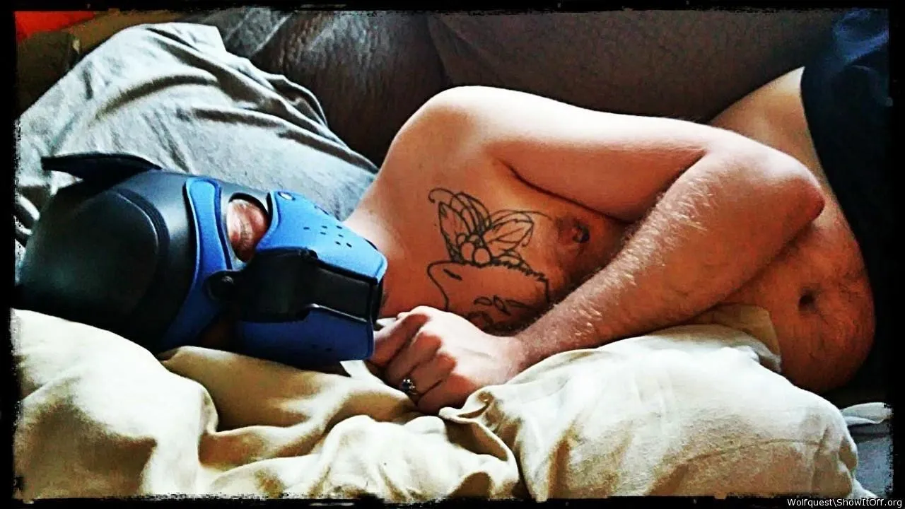 Wolfquest OnlyFans header