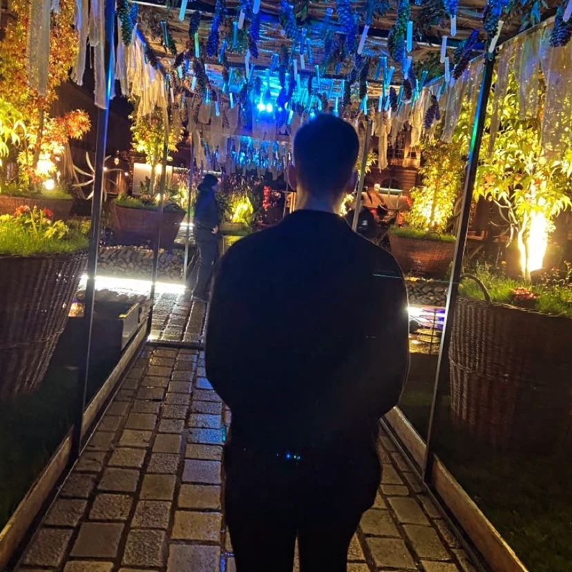 Constantinescu OnlyFans header