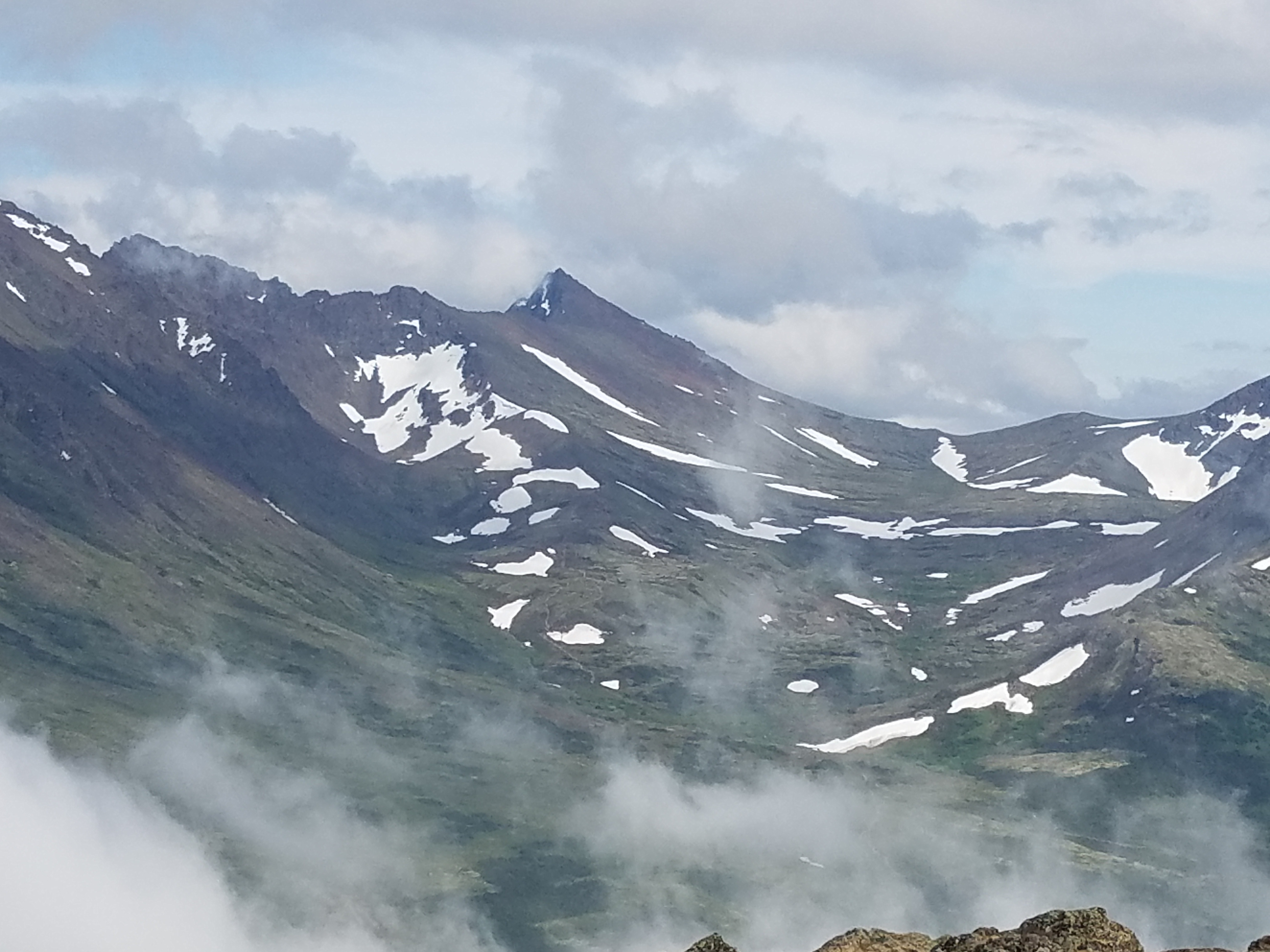 Wollywegs85 OnlyFans header