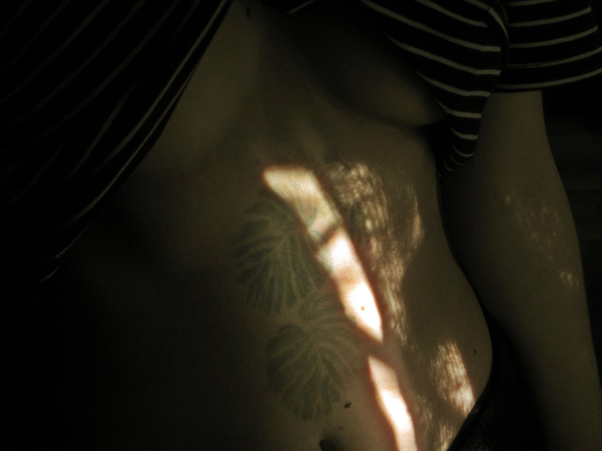 wololooo OnlyFans header