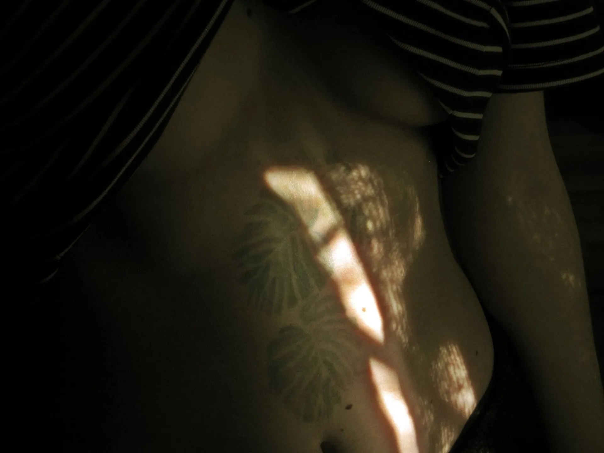 wololooo OnlyFans header