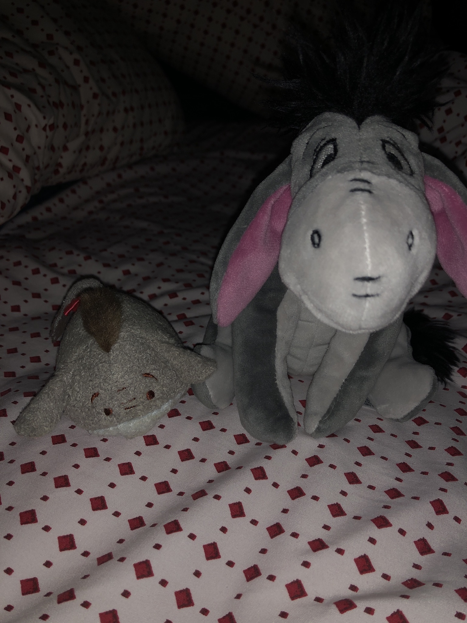 Wolow OnlyFans header