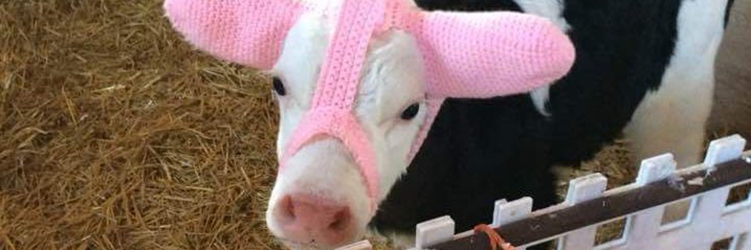 david cop a feel OnlyFans header