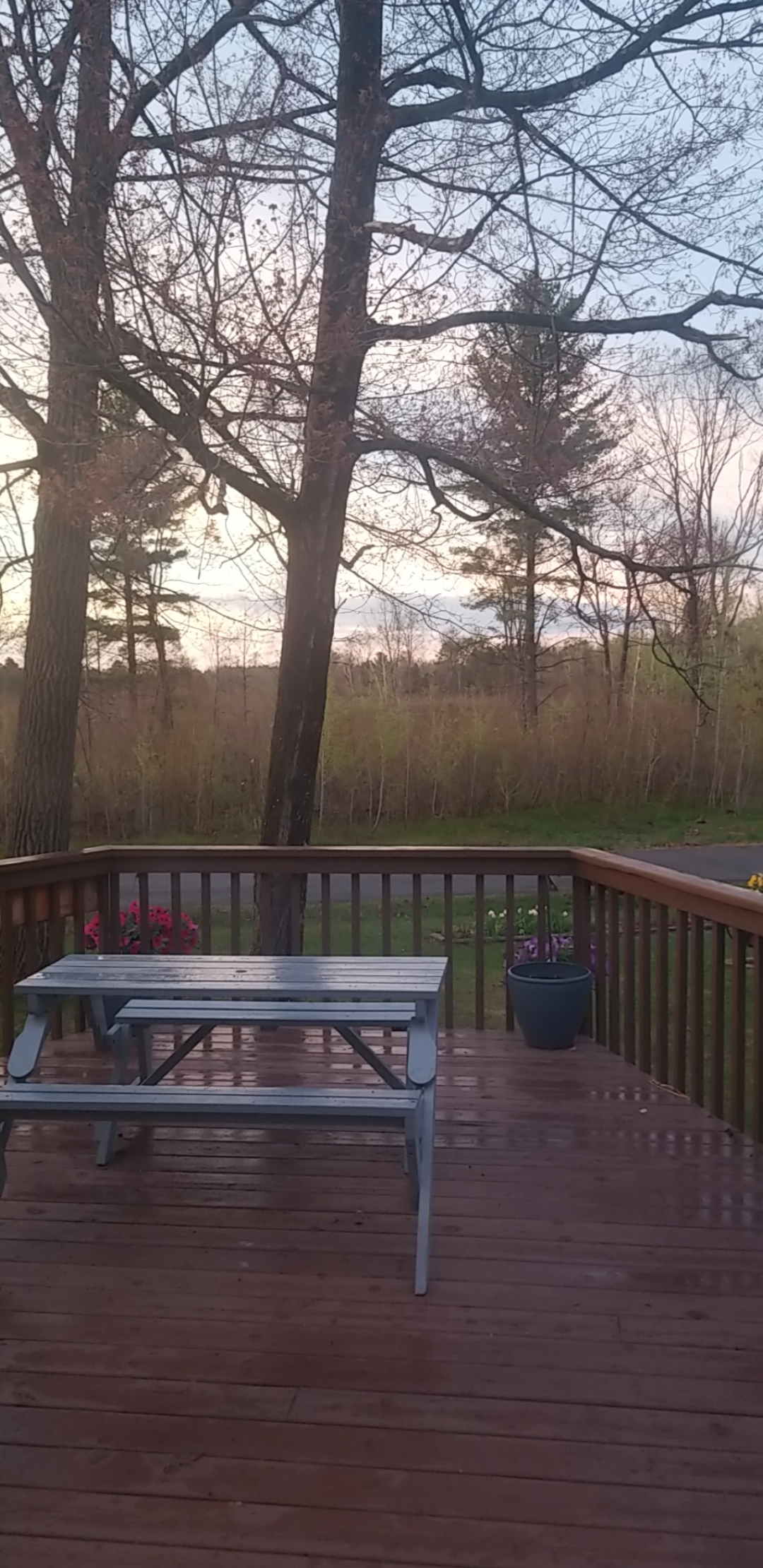 Chris OnlyFans header