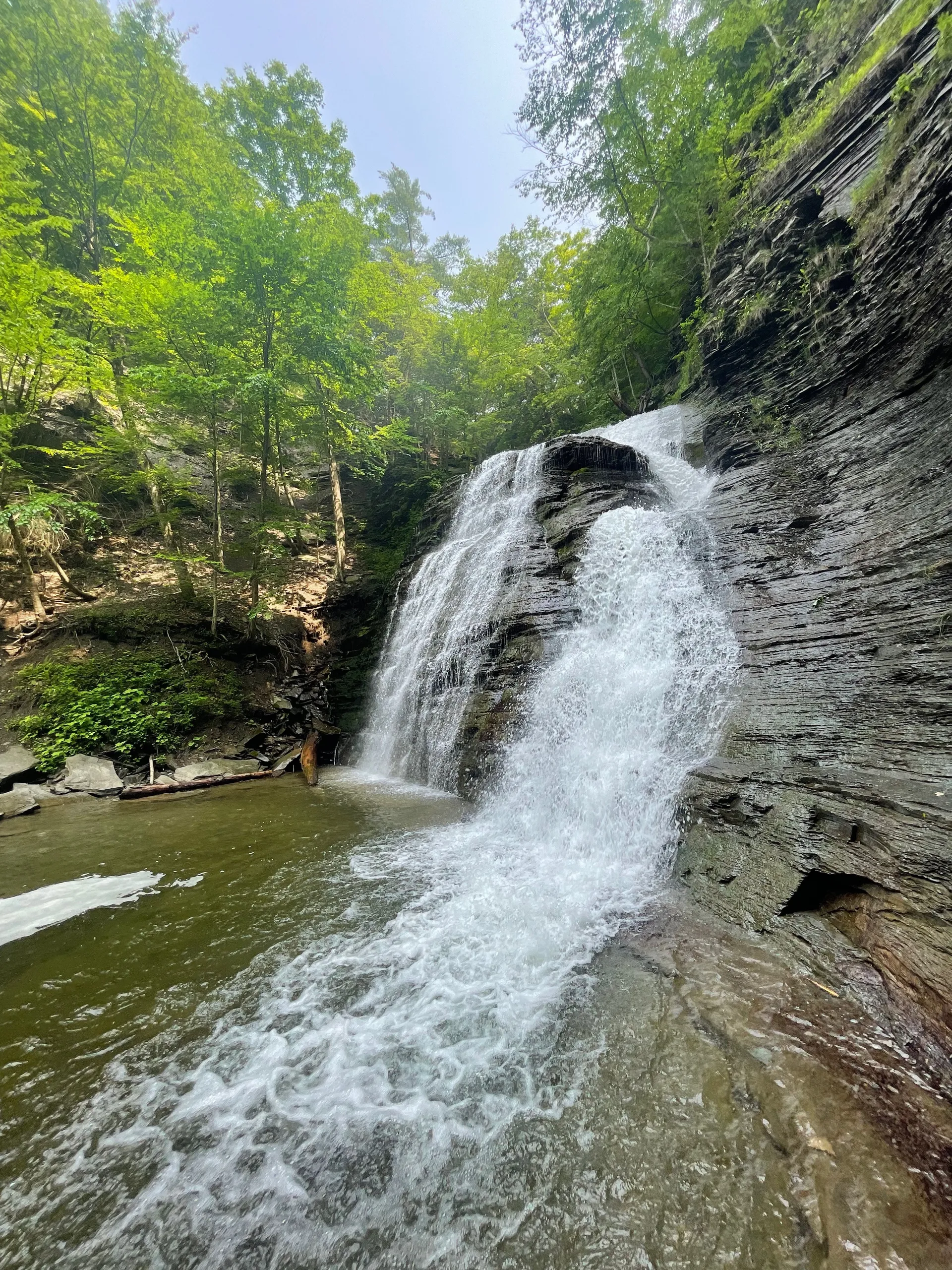 Karl Anthony Pounds✨ OnlyFans header