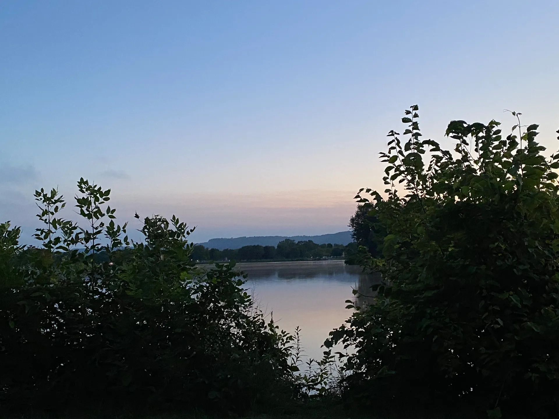 Moss OnlyFans header