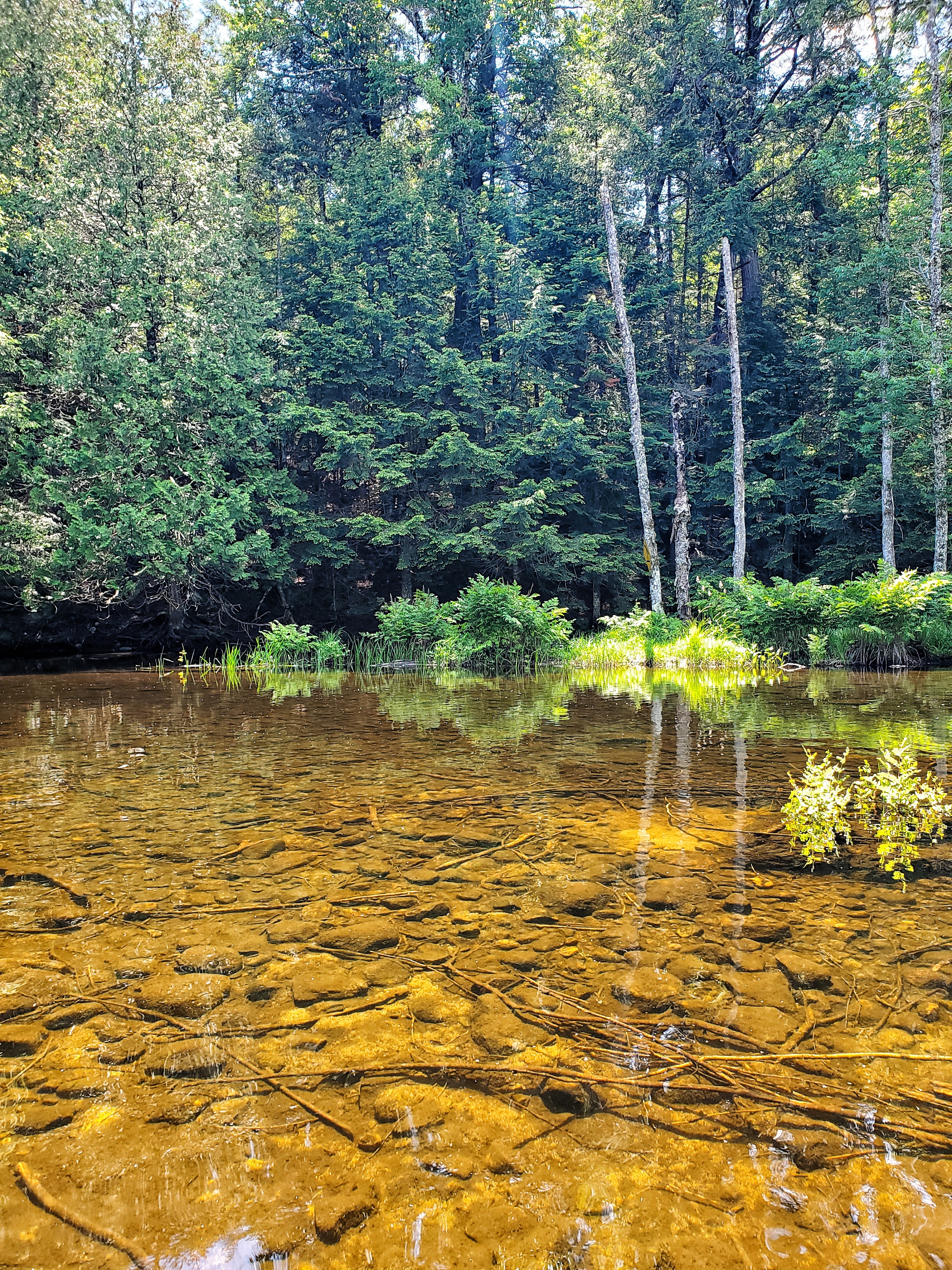 WoodLifeSex OnlyFans header