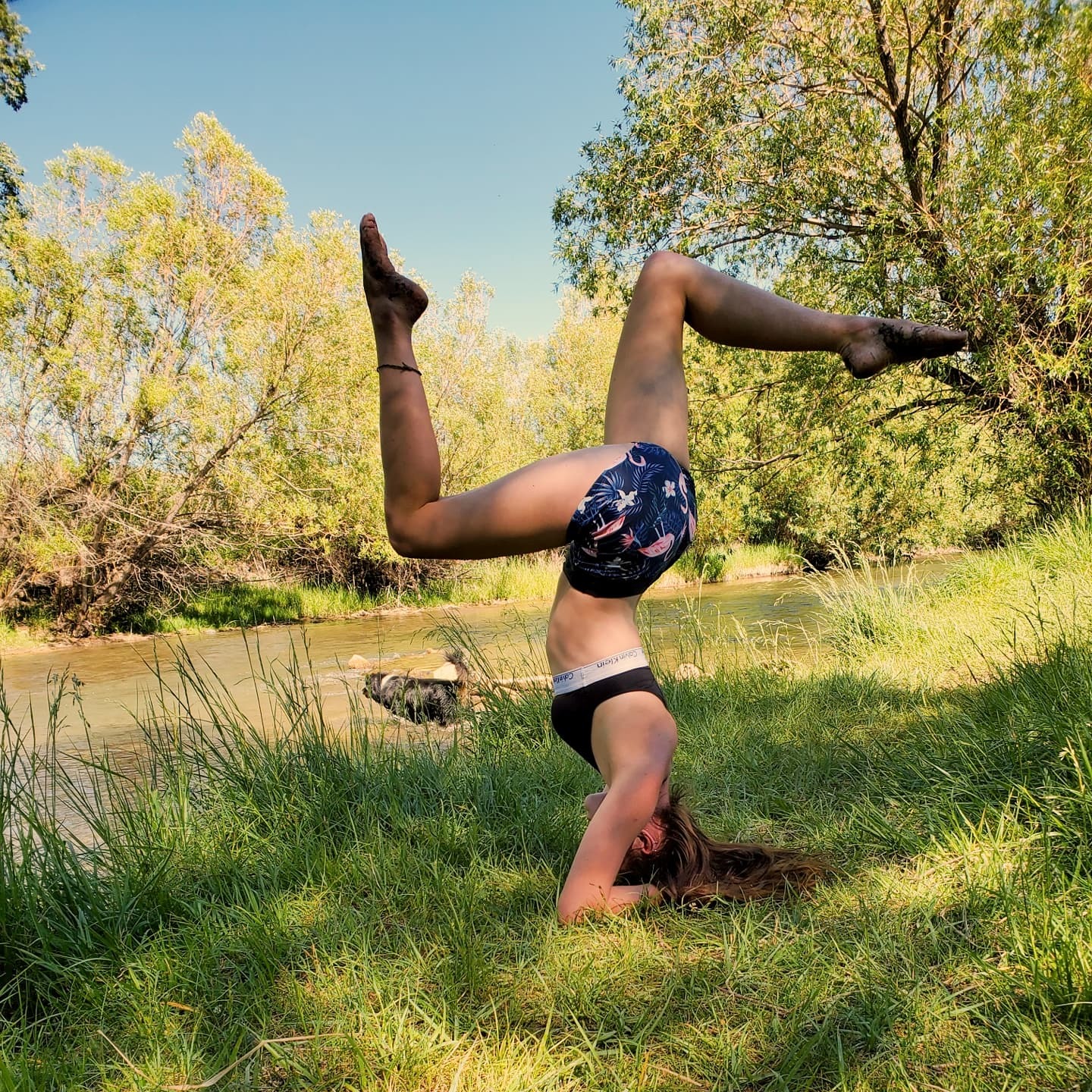 🌲Into The Forest I Go🌲 OnlyFans header