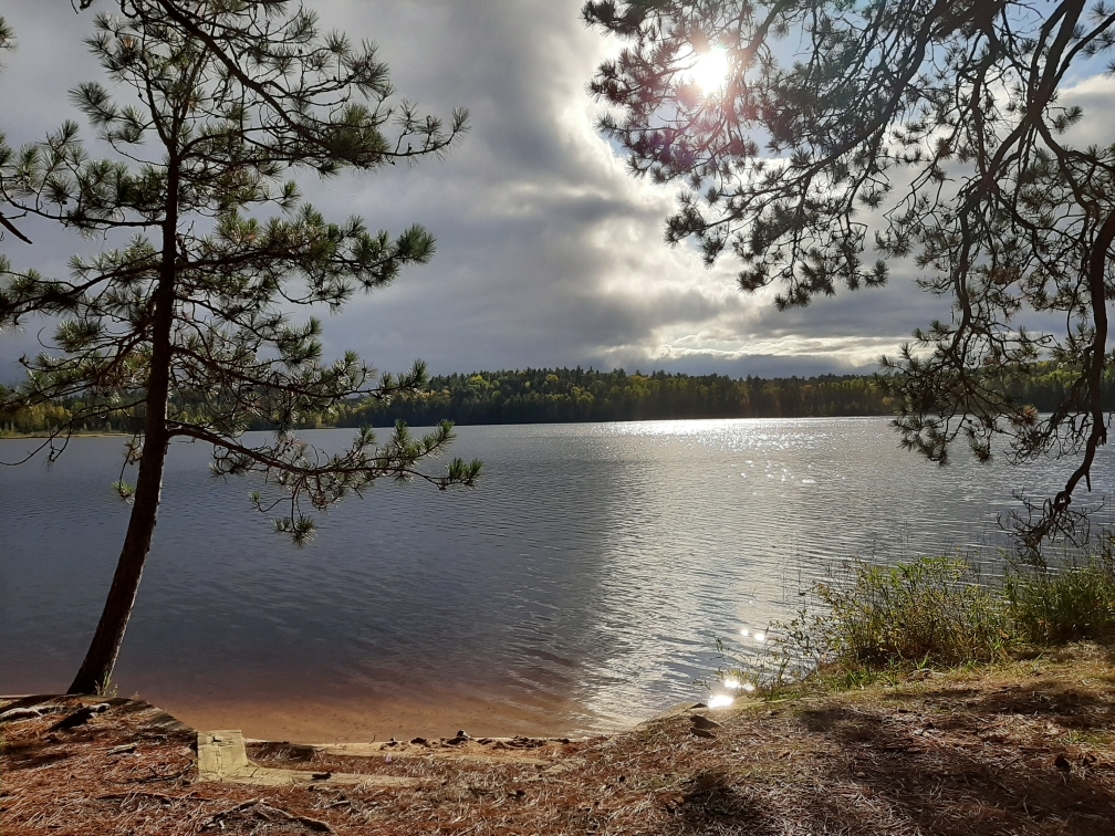 Woodworker OnlyFans header