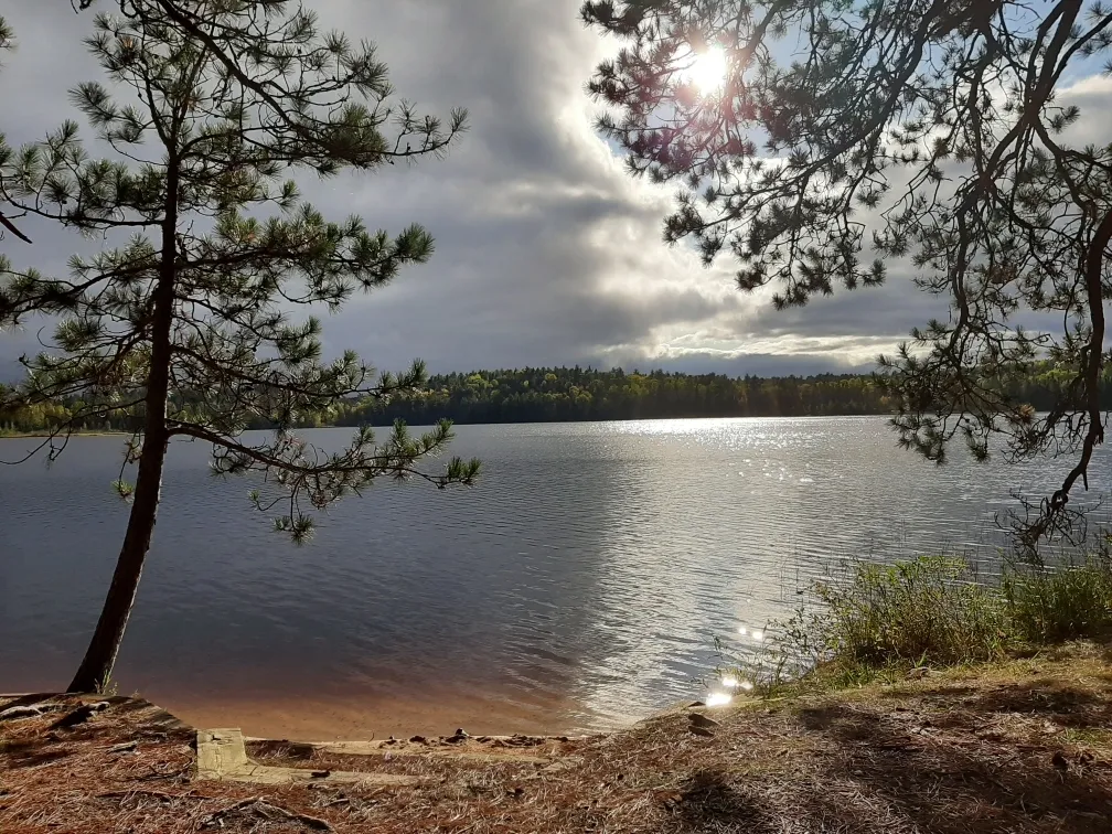 Woodworker OnlyFans header