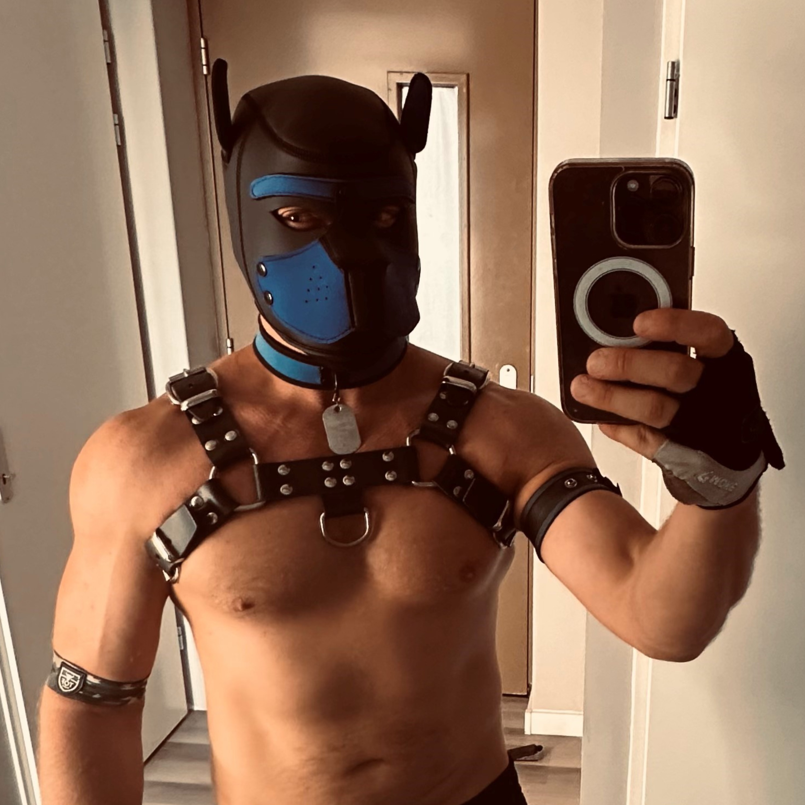 WoofusInGear OnlyFans header