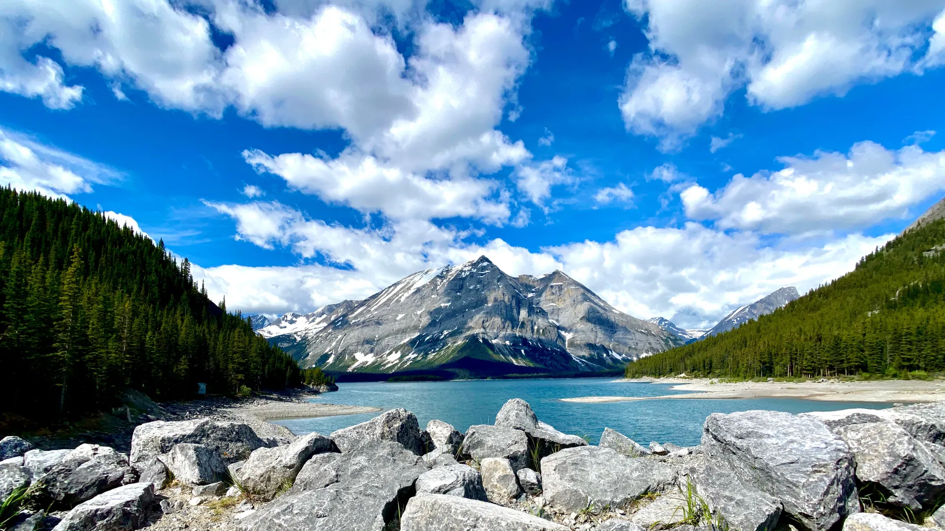 WoofyUncut OnlyFans header