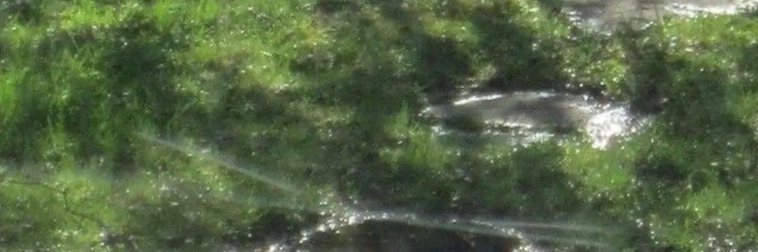 lucy ; ع˖⁺ ☁⋆ ୭ 🕊.⋆｡⋆༶⋆˙⊹ OnlyFans header