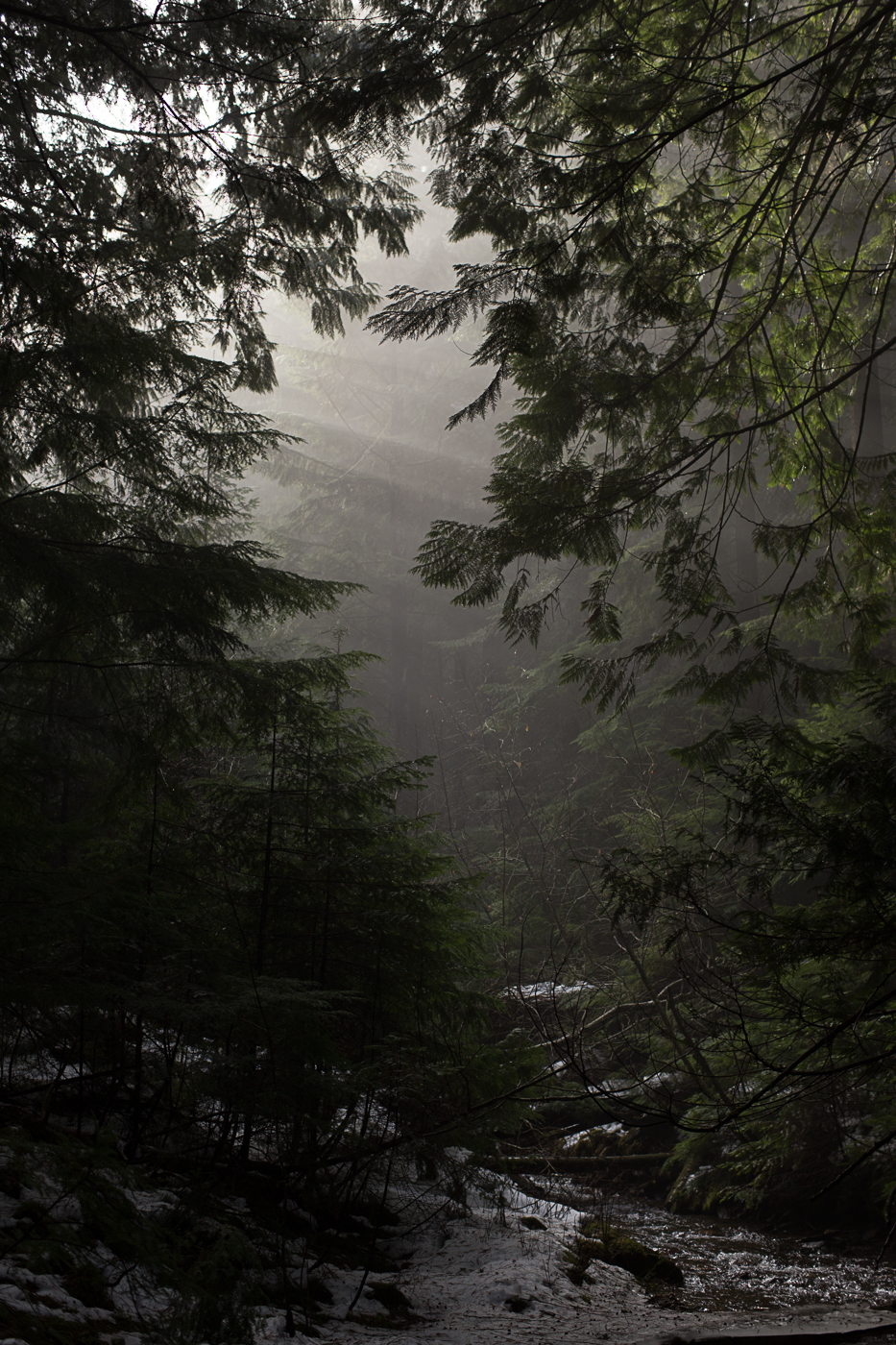 Workerbloke OnlyFans header