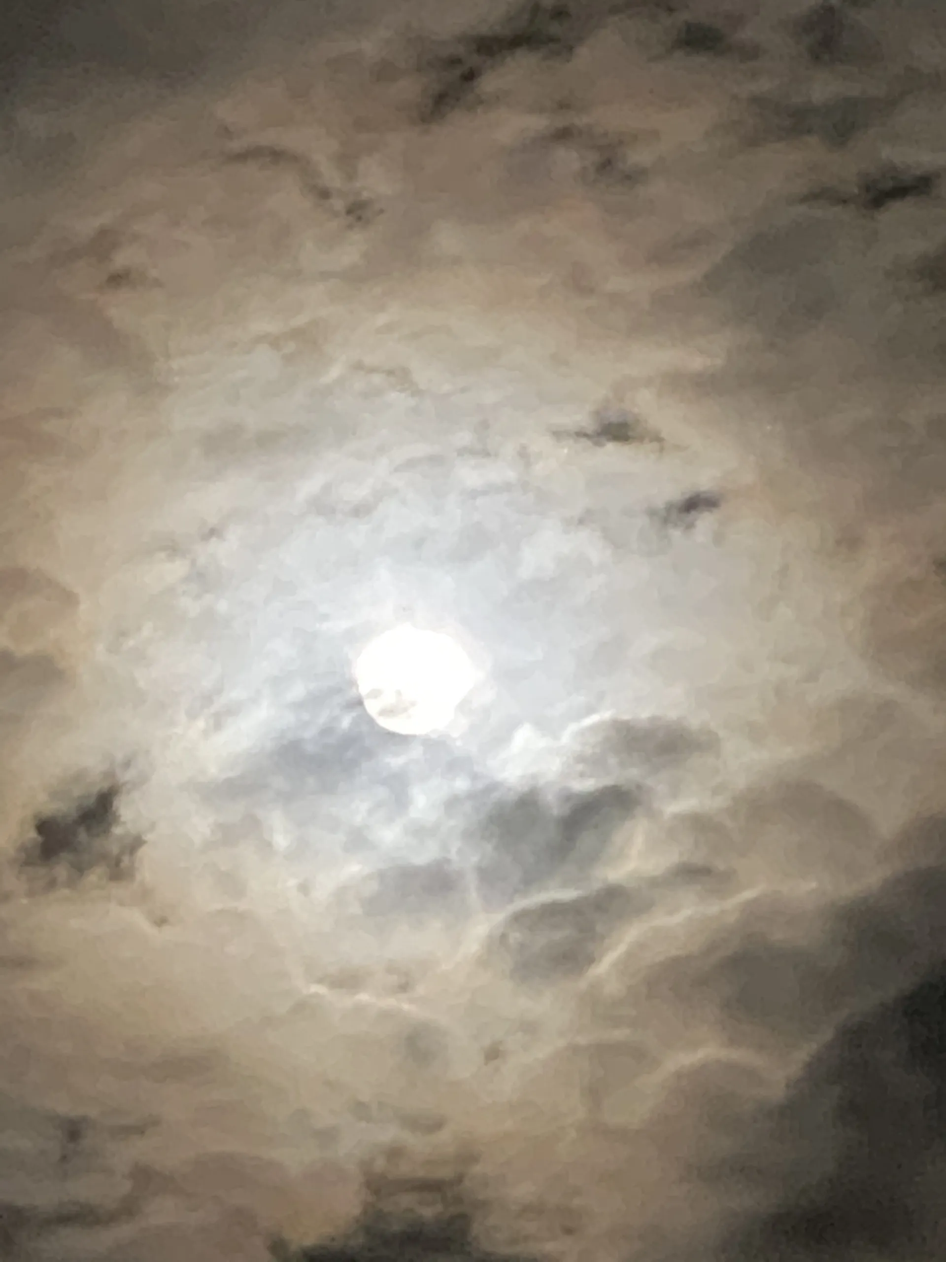 Spunky OnlyFans header