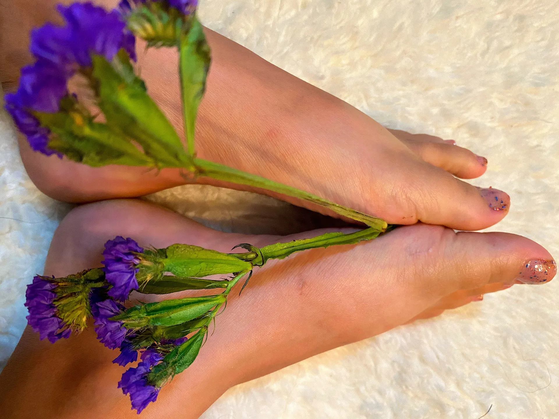 Veronicameow OnlyFans header