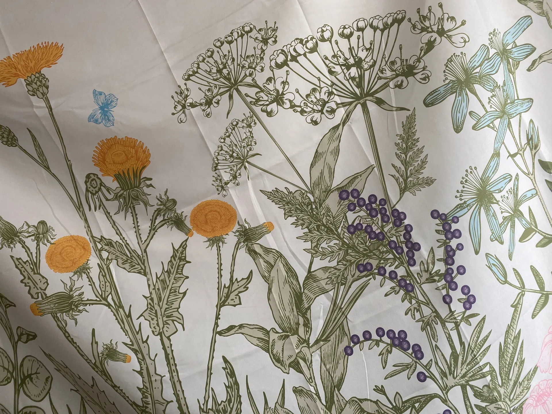 Shorty🤤 OnlyFans header