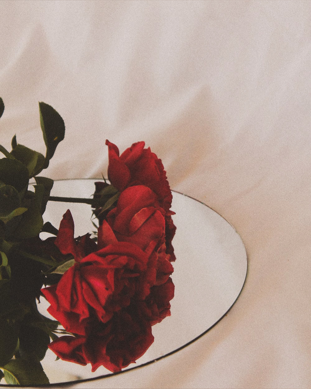 Worship Her Solez OnlyFans header