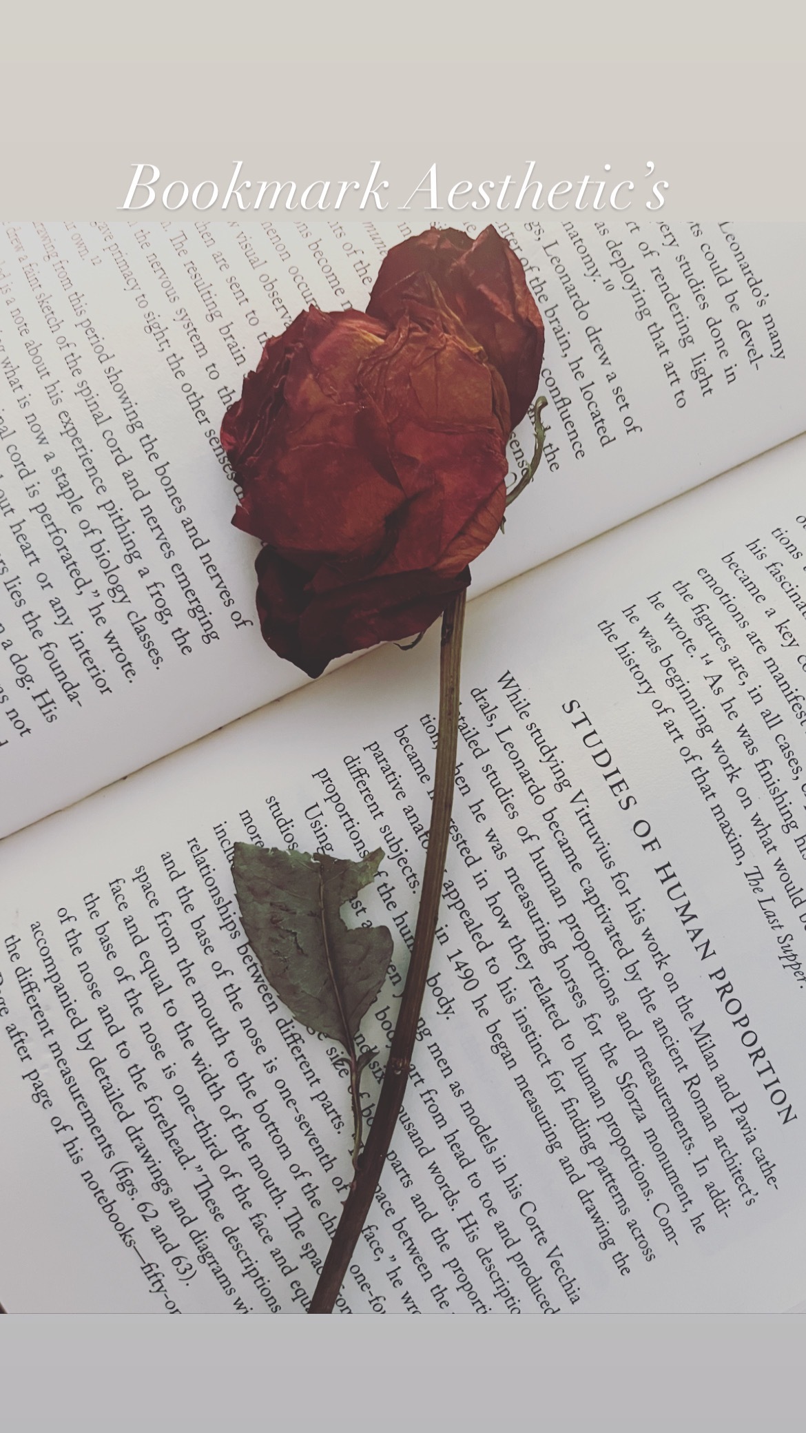 W O R S H I P 🖤M E OnlyFans header