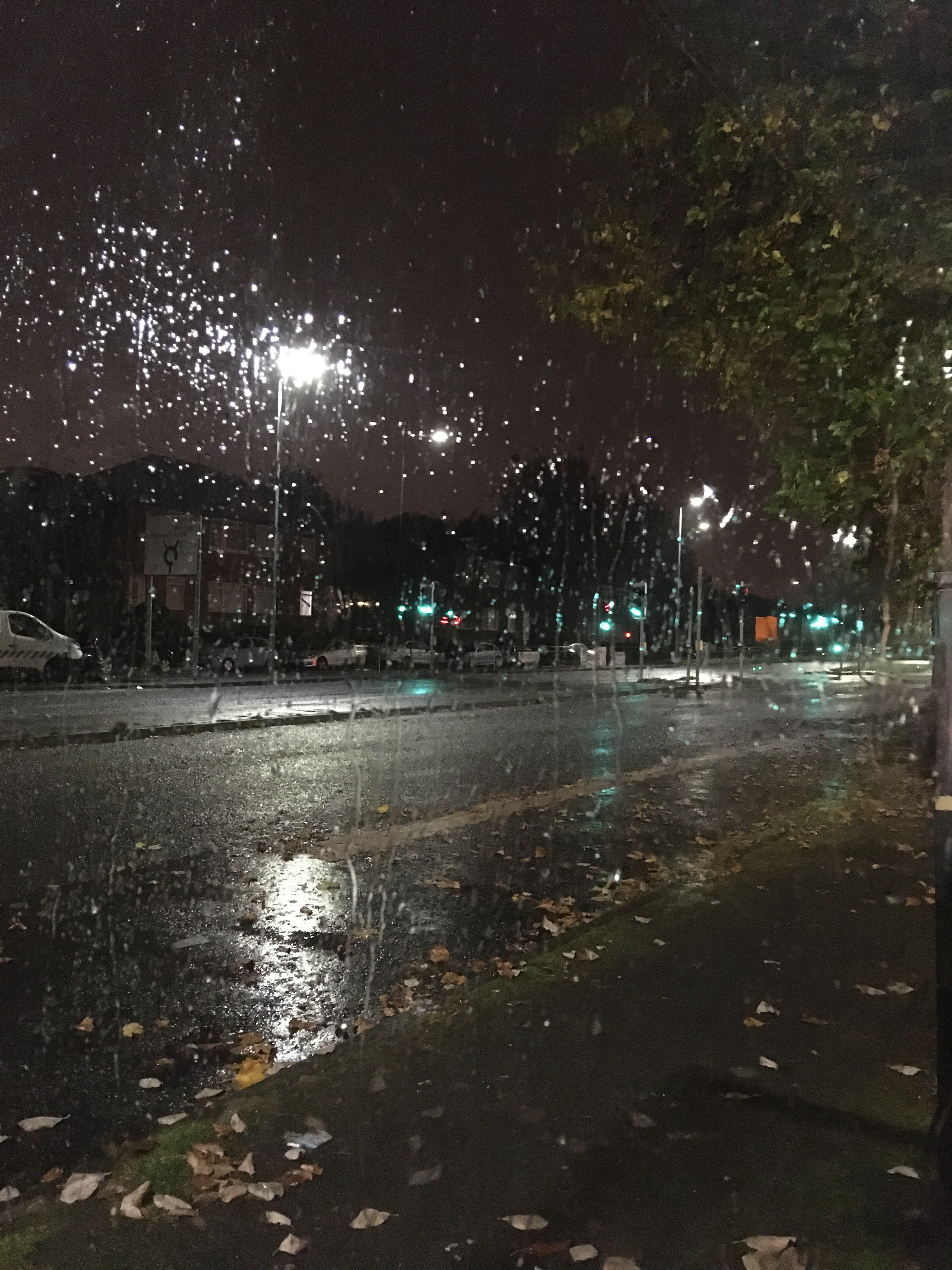 Chaotic Creature (Endie🖤) OnlyFans header