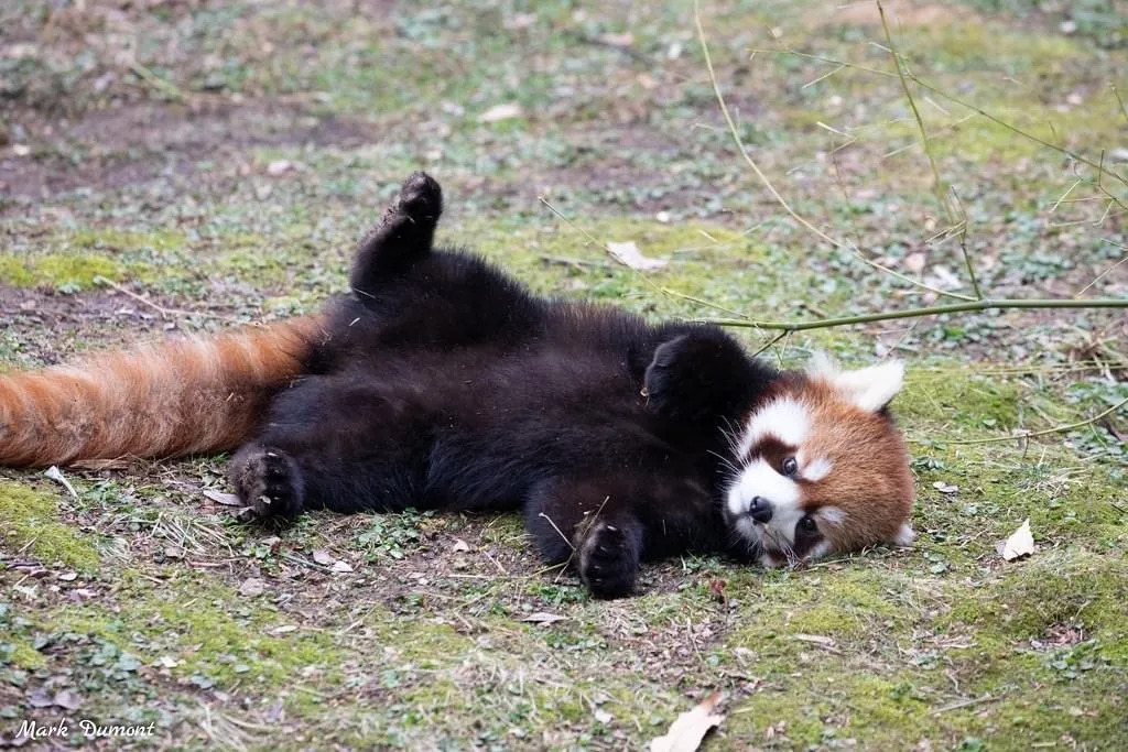 worthlessholes OnlyFans header