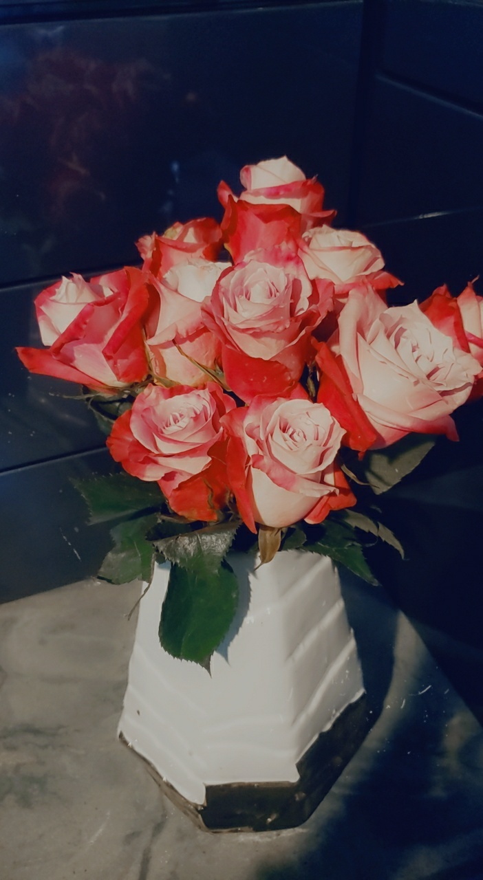 Amanda Beining OnlyFans header