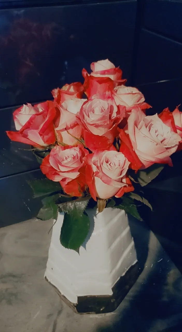 Amanda Beining OnlyFans header