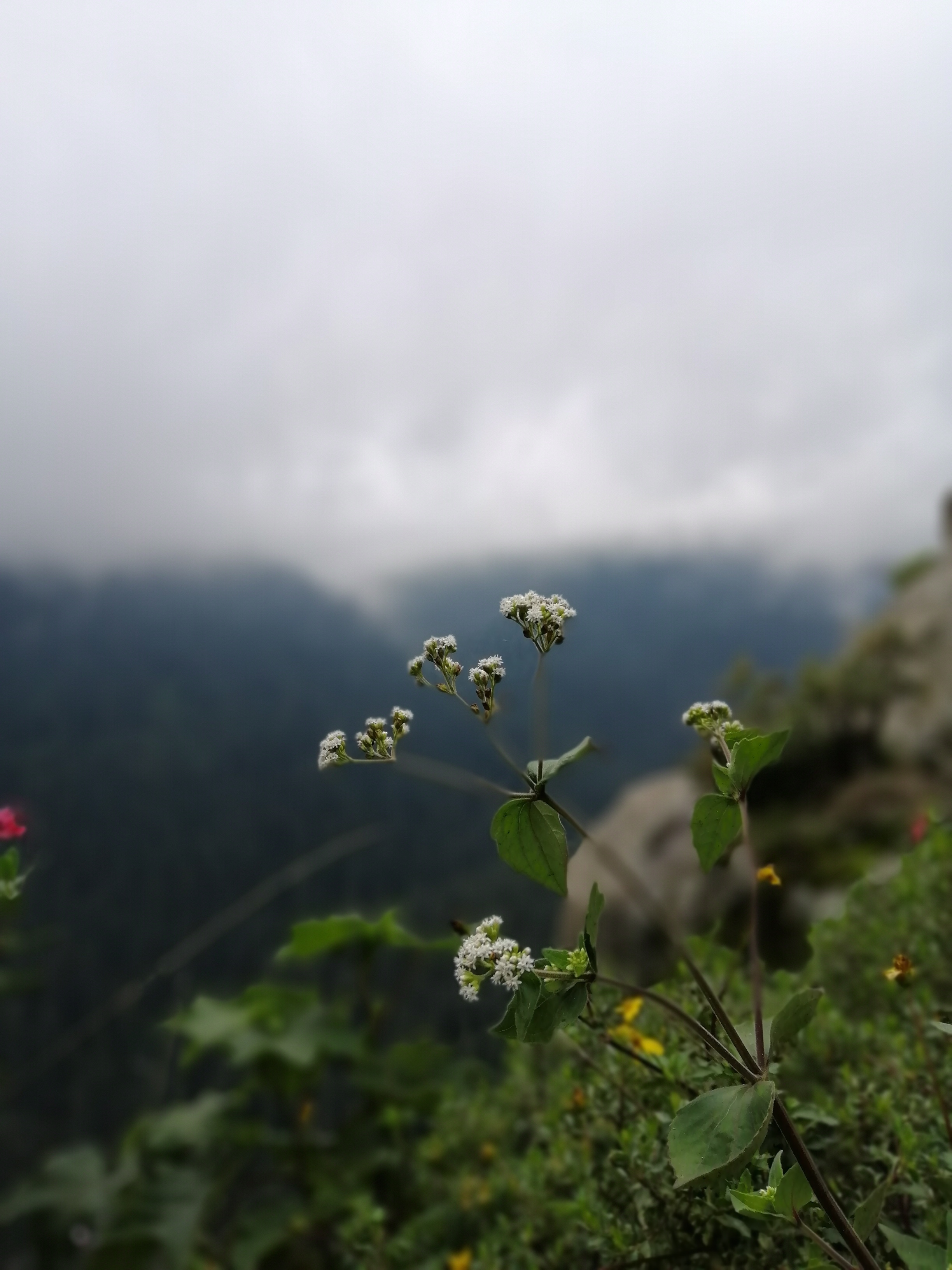 Ricardo López OnlyFans header