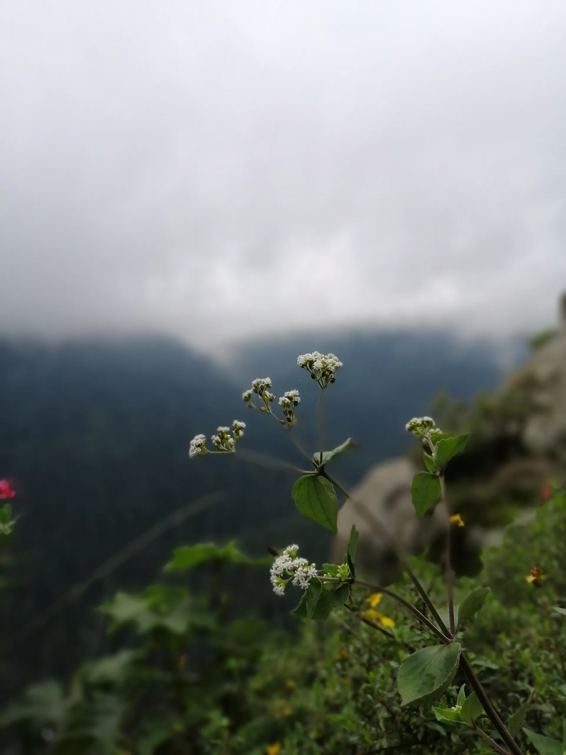 Ricardo López OnlyFans header