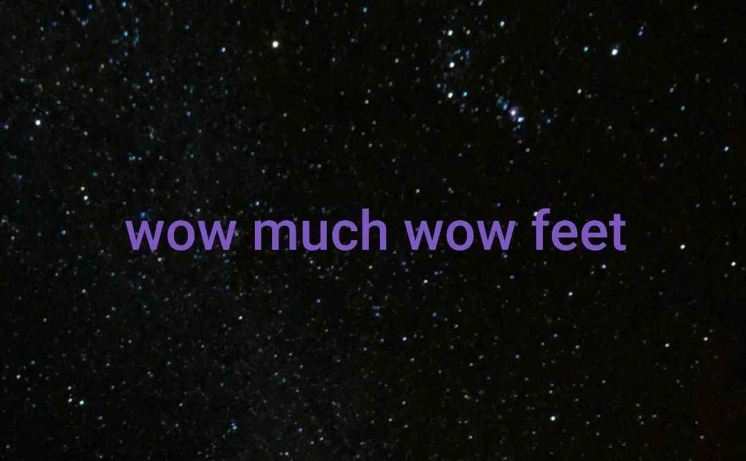 Wow Much Wow Feet cover