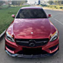 Дмитрий Нестеров