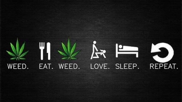 WPNas OnlyFans header