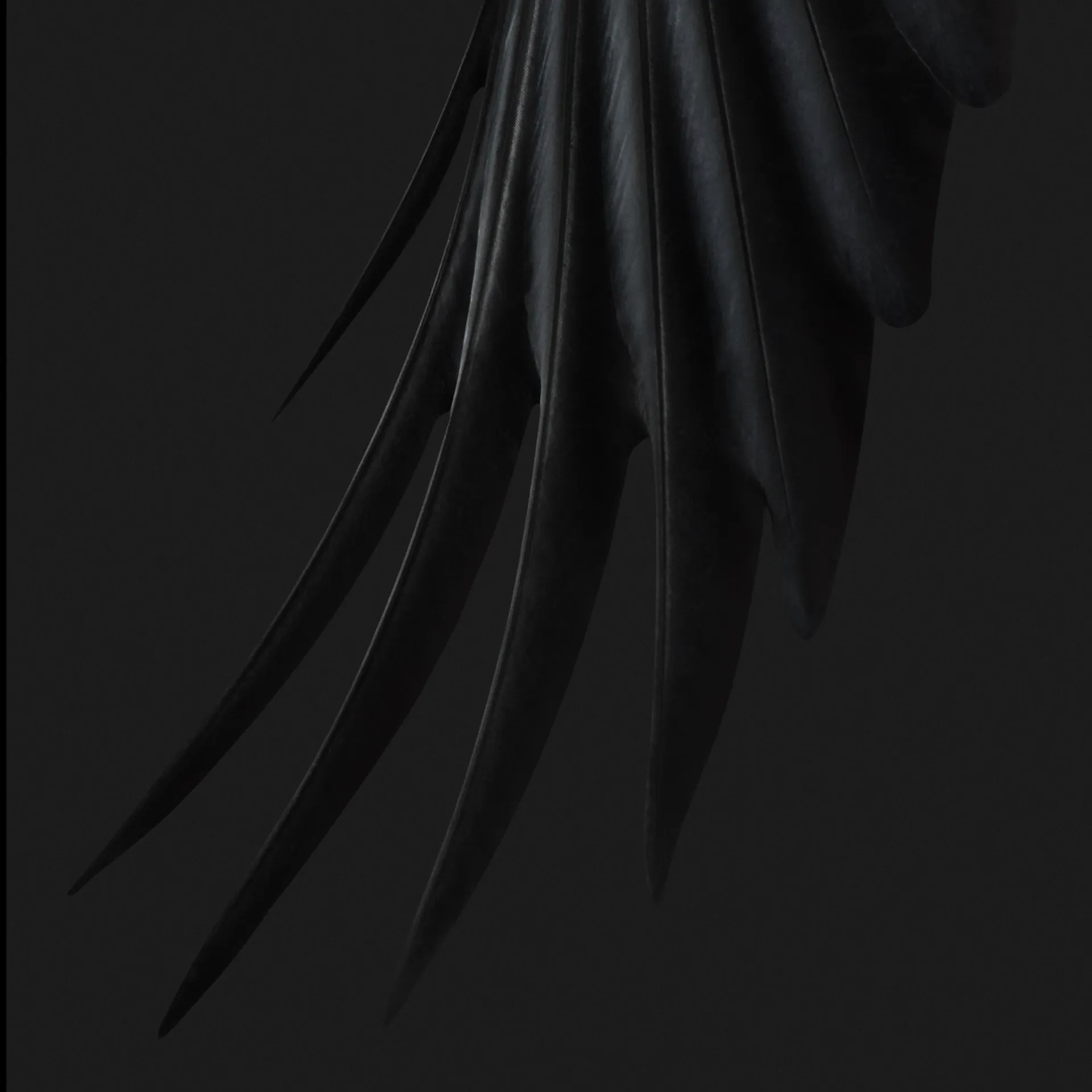 Wrayan Espinoza OnlyFans header