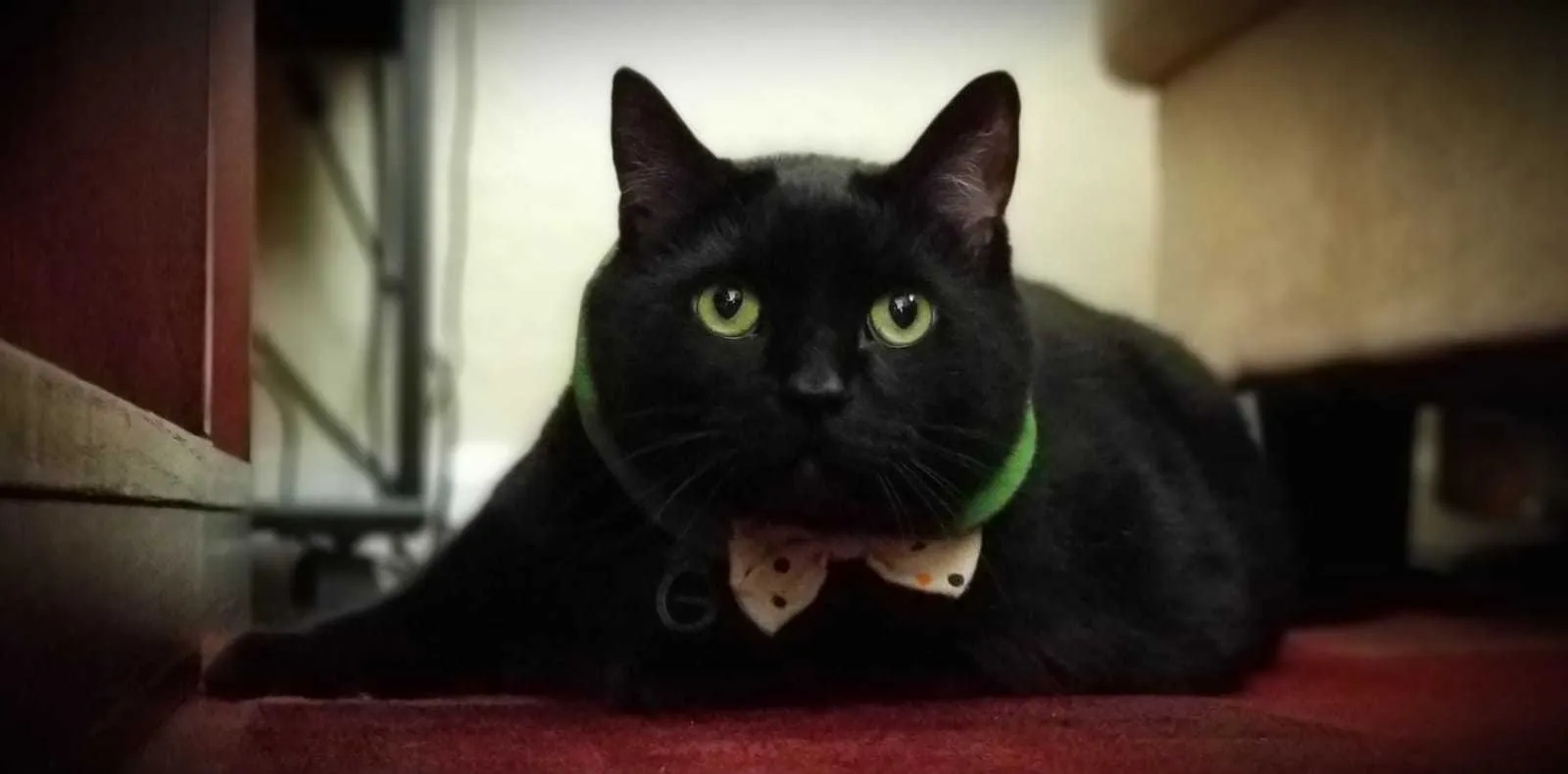 Wraith23 OnlyFans header