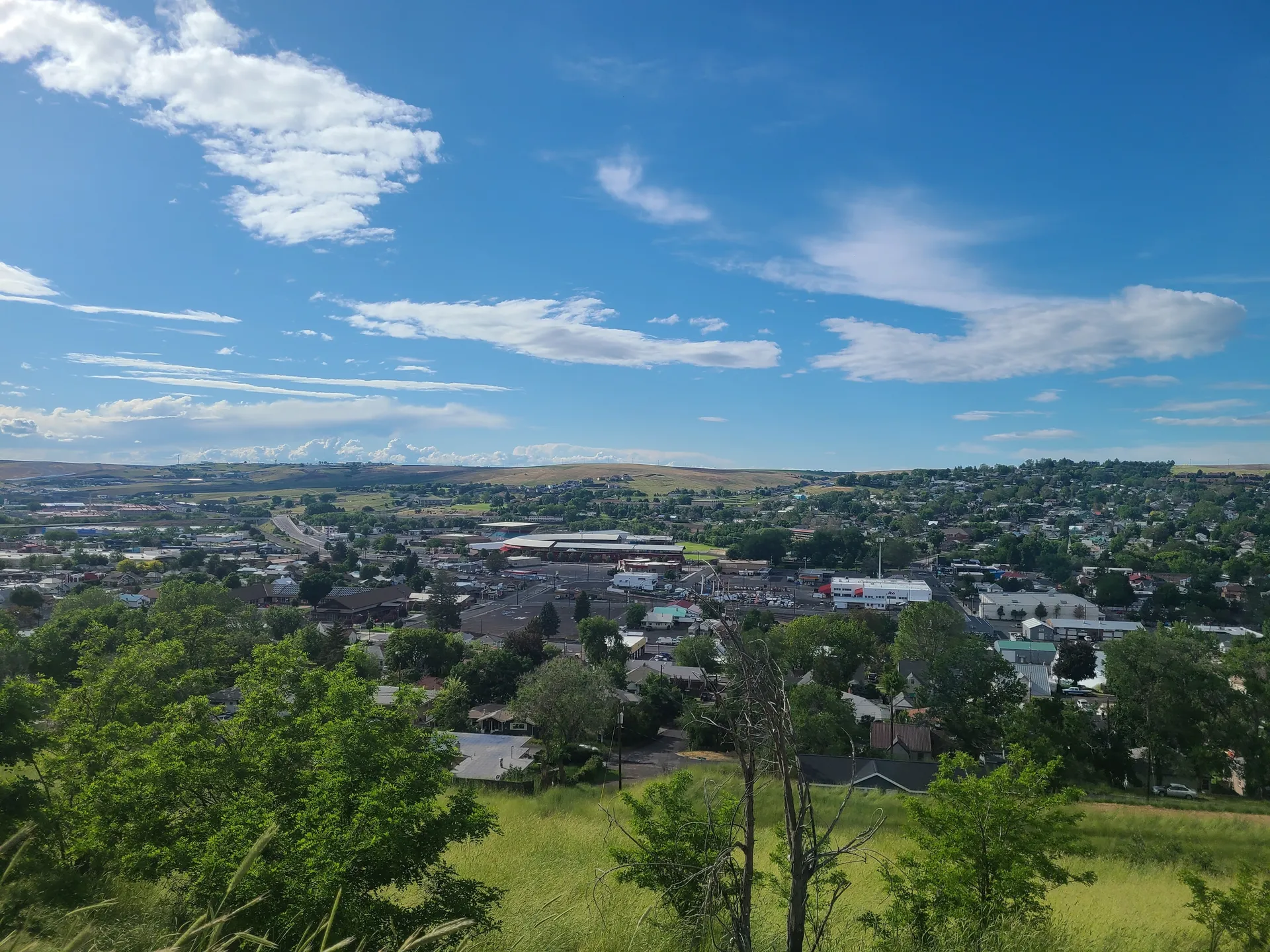 Plague cocktor OnlyFans header