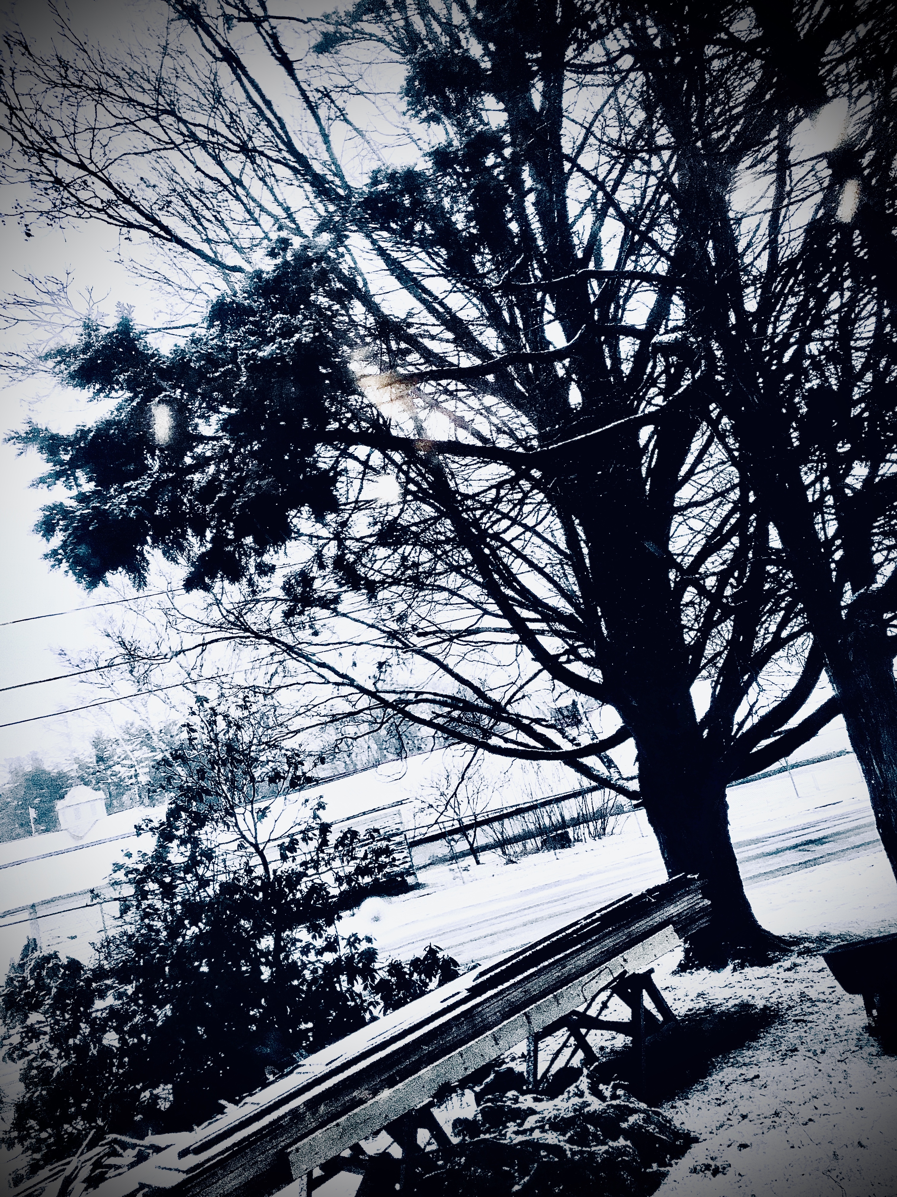 Wren OnlyFans header