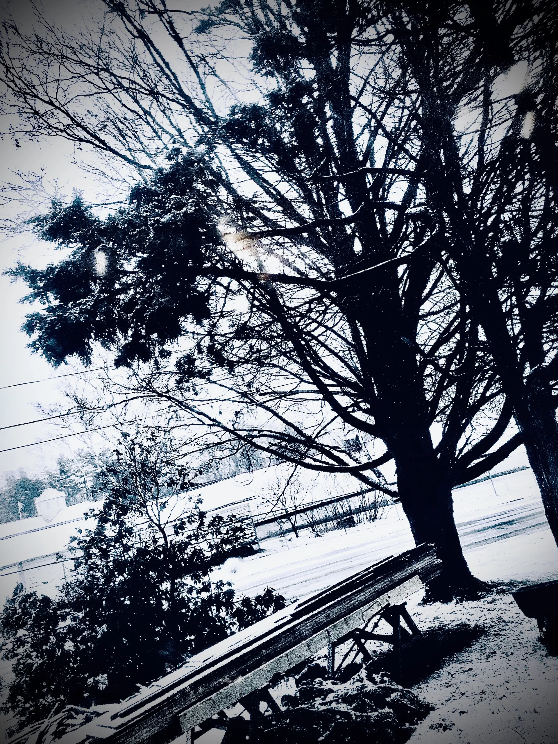 Wren OnlyFans header