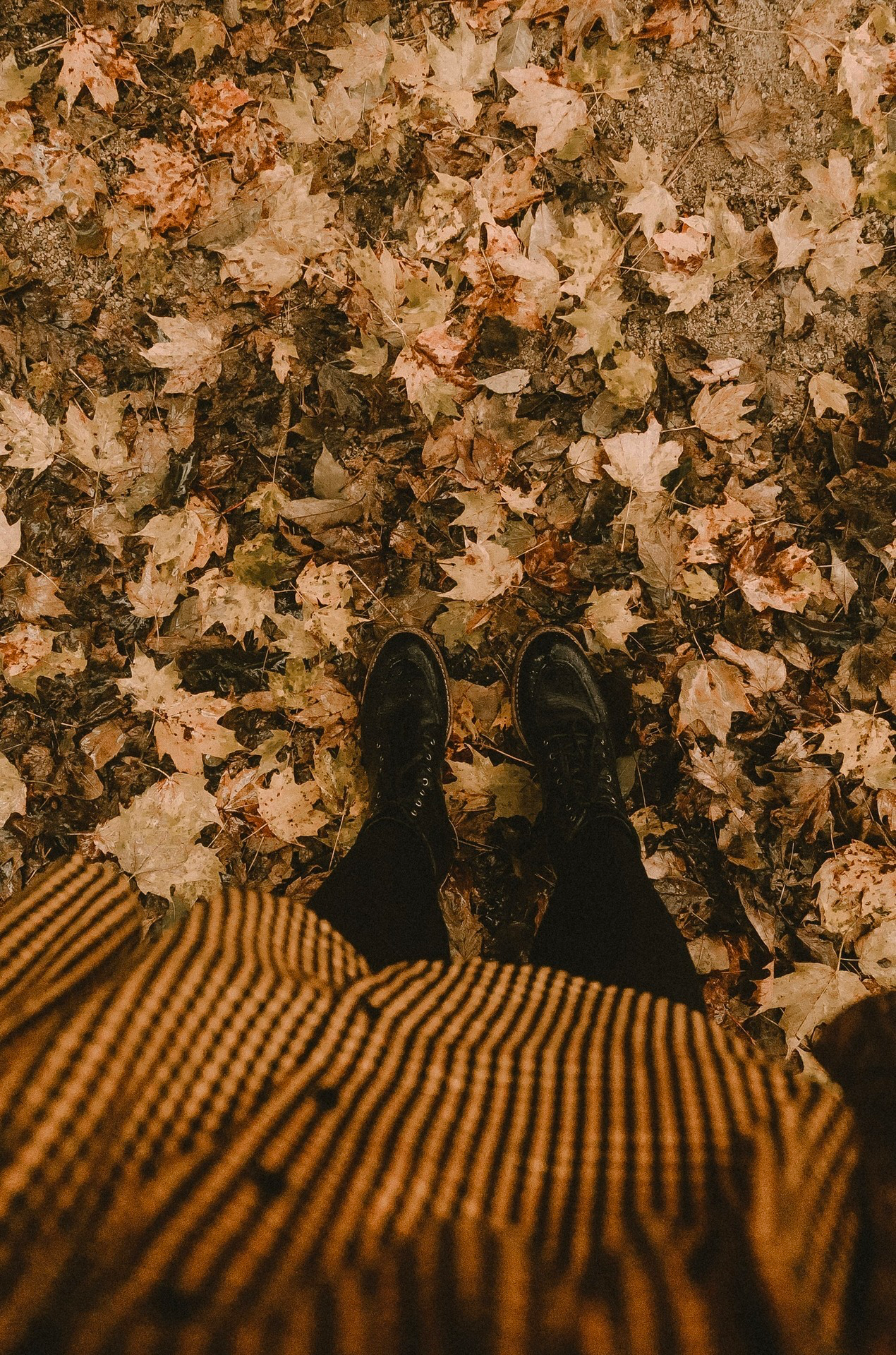 Wrenn OnlyFans header