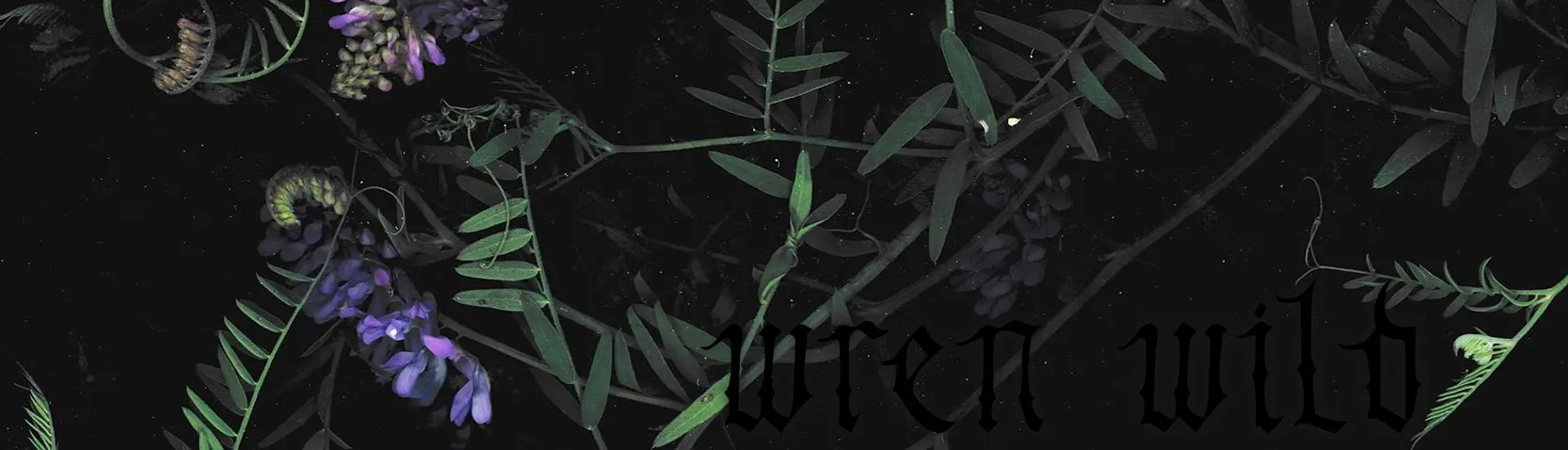 Wren Wild OnlyFans header