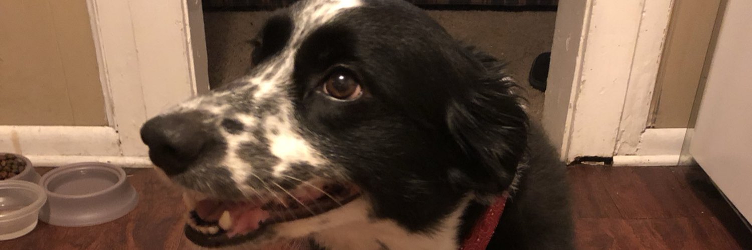 Tyler Wright OnlyFans header