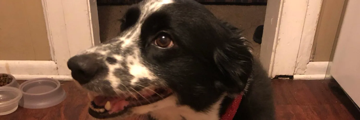 Tyler Wright OnlyFans header