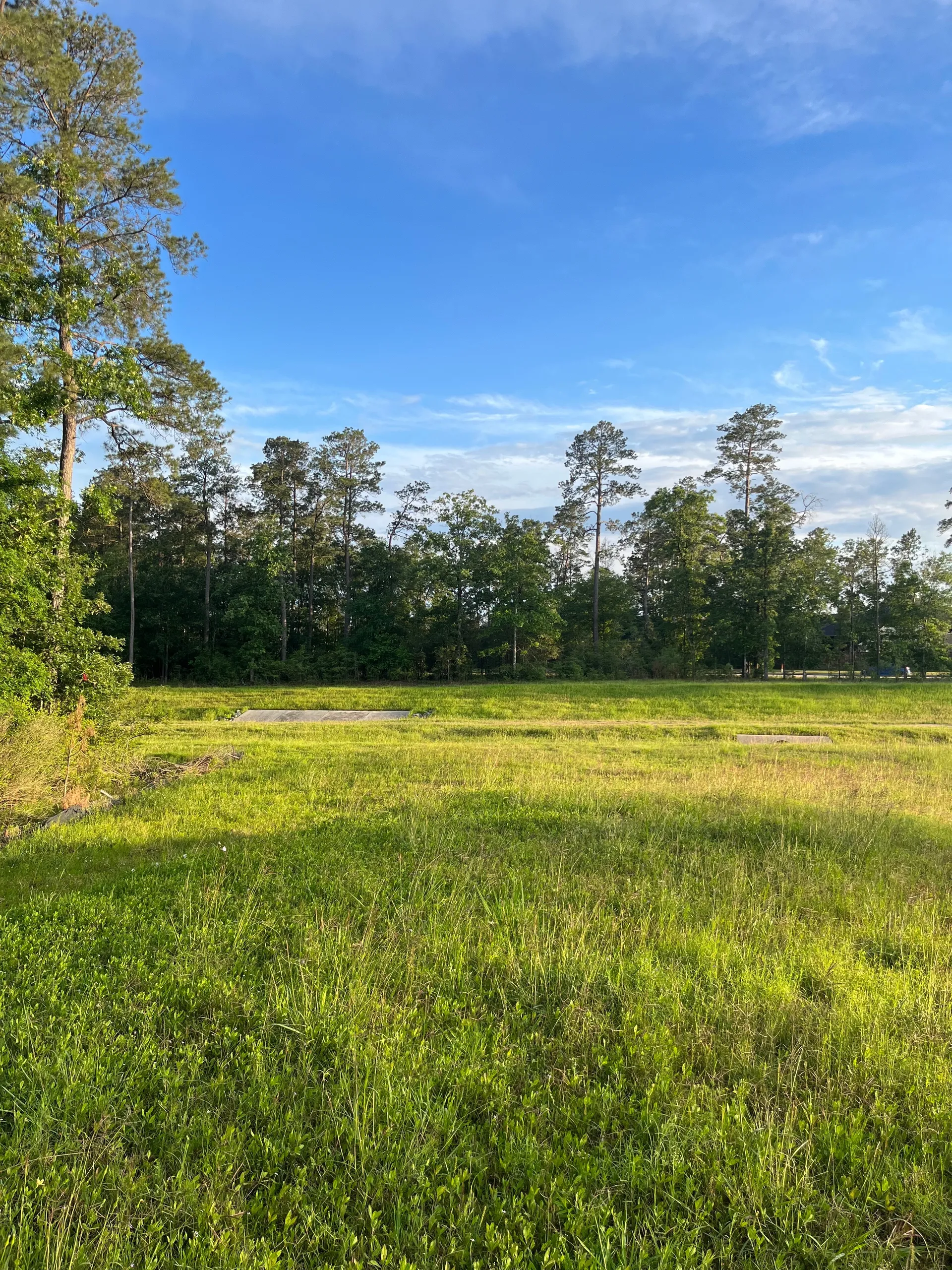 Wayne Wright OnlyFans header