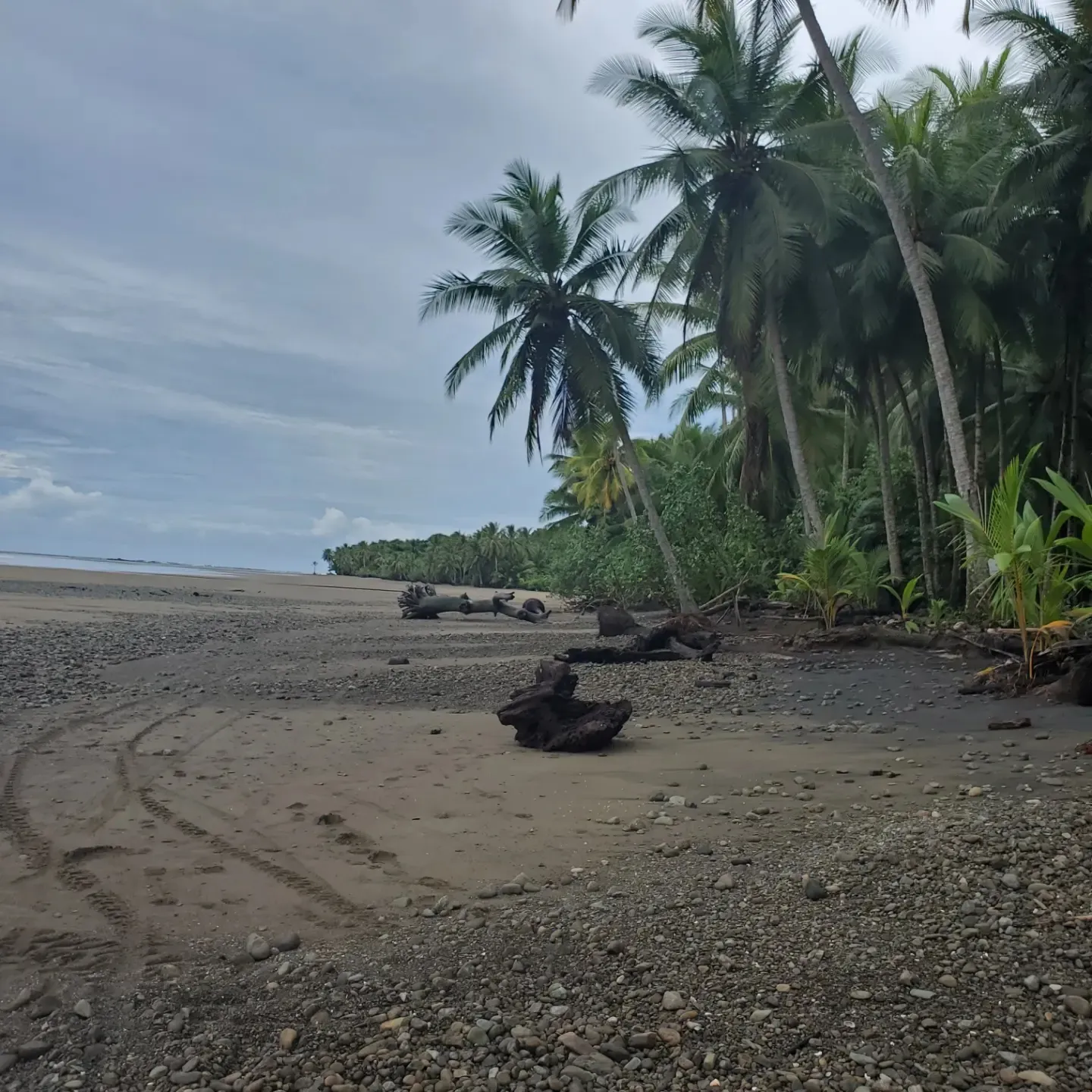 Ava Rene OnlyFans header