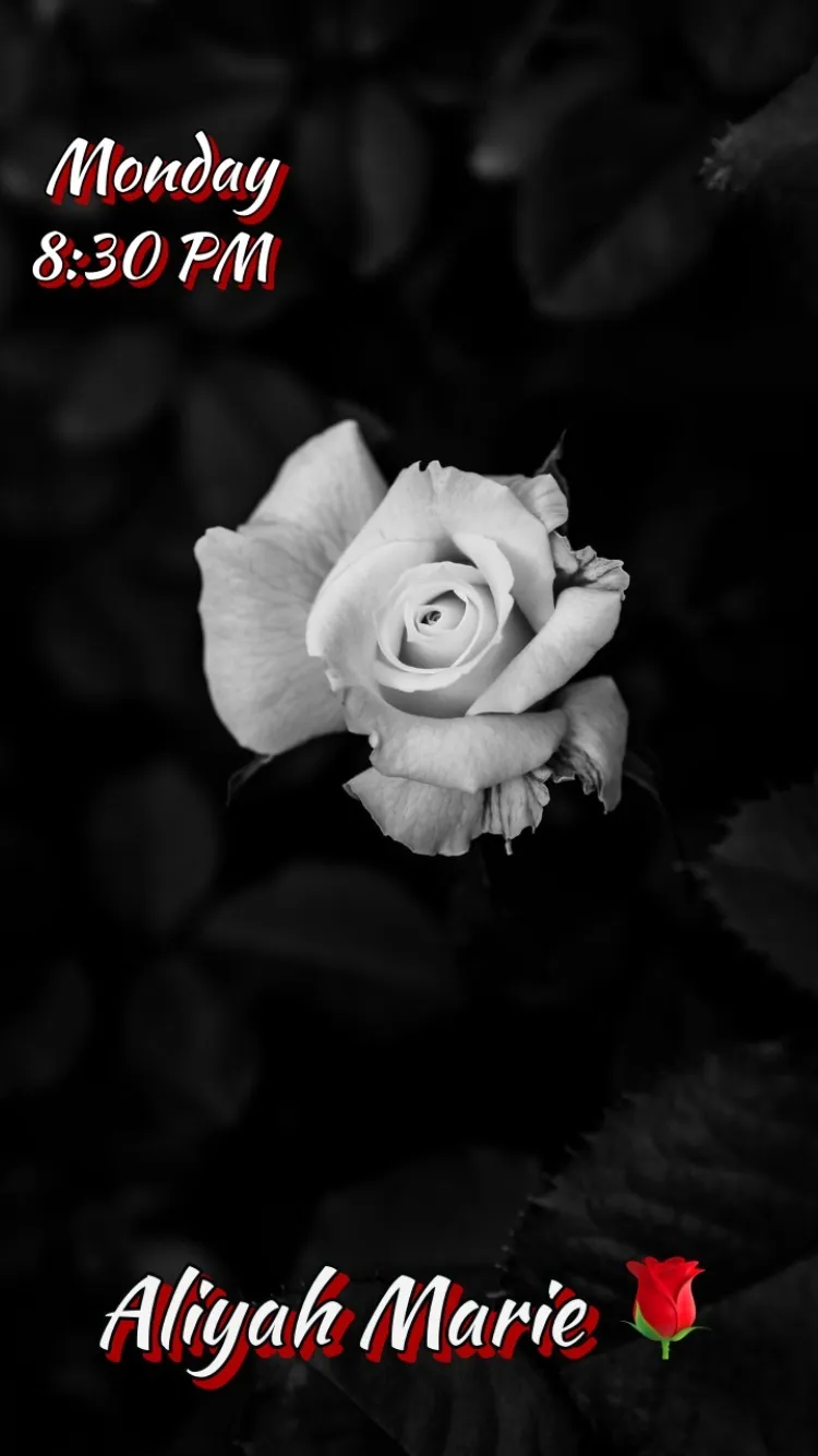 Aliyah Marie OnlyFans header