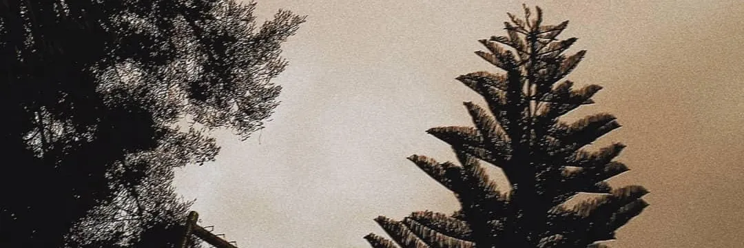 Wesley F. Ramirez OnlyFans header