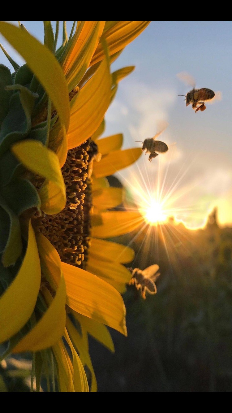 Sarah🥵 OnlyFans header