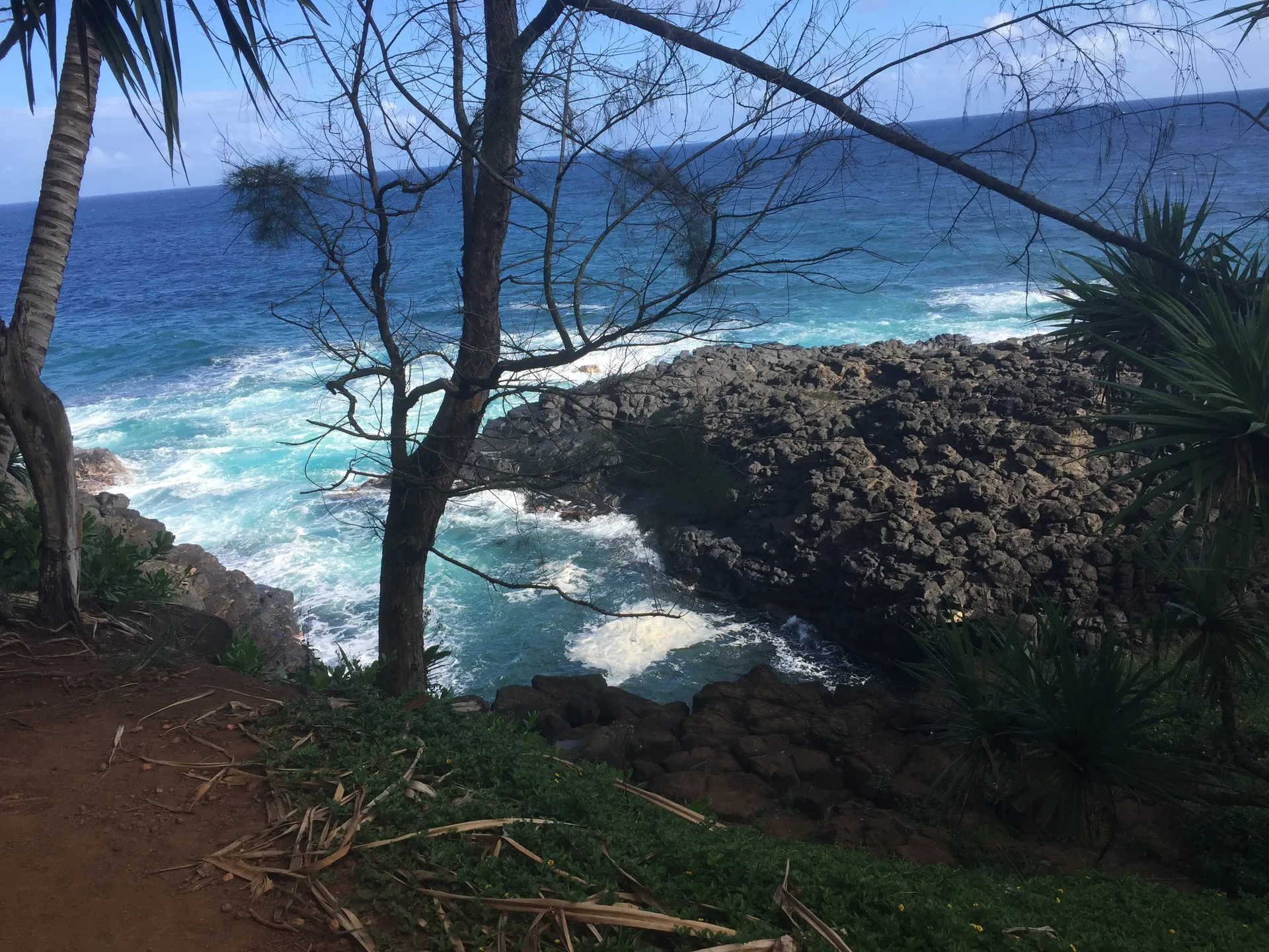 Tyler OnlyFans header